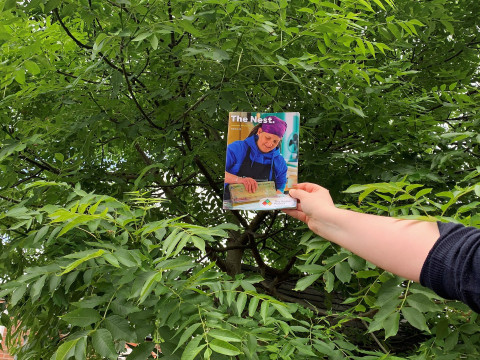 The Nest newsletter – Edition 42 out now!